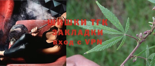 шишки Богданович