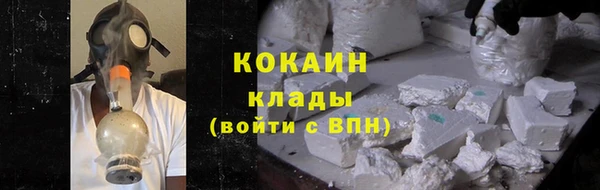 шишки Богданович