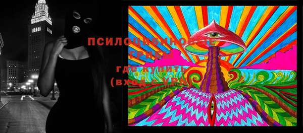 шишки Богданович