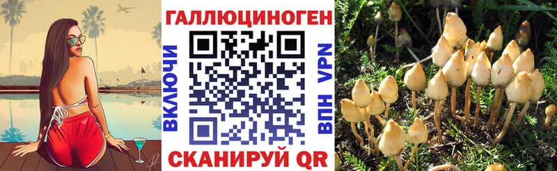мега сайт  Видное  Галлюциногенные грибы Cubensis 